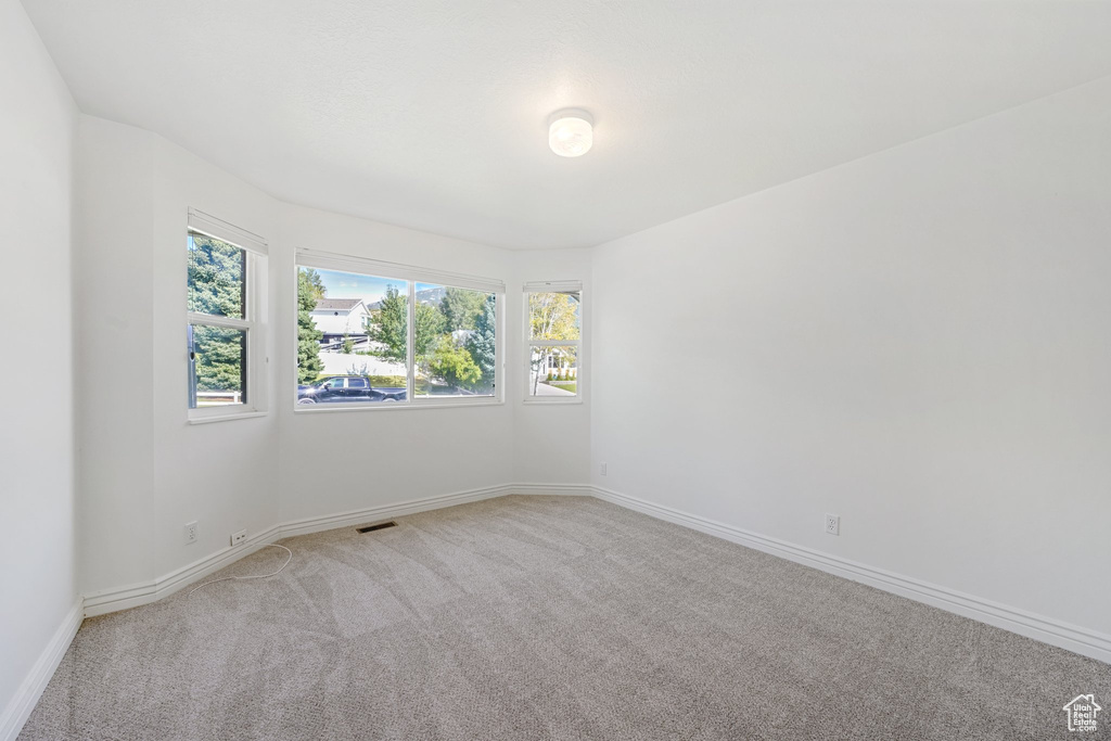 Unfurnished room with light carpet