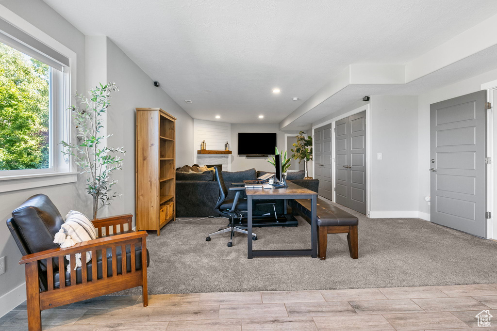 Office featuring light carpet