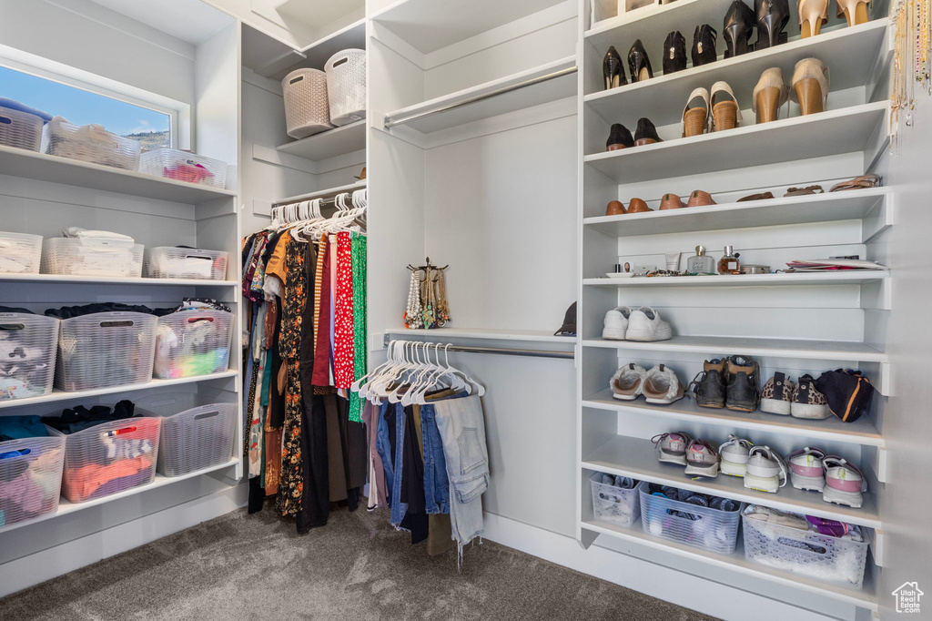 Walk in closet with carpet floors