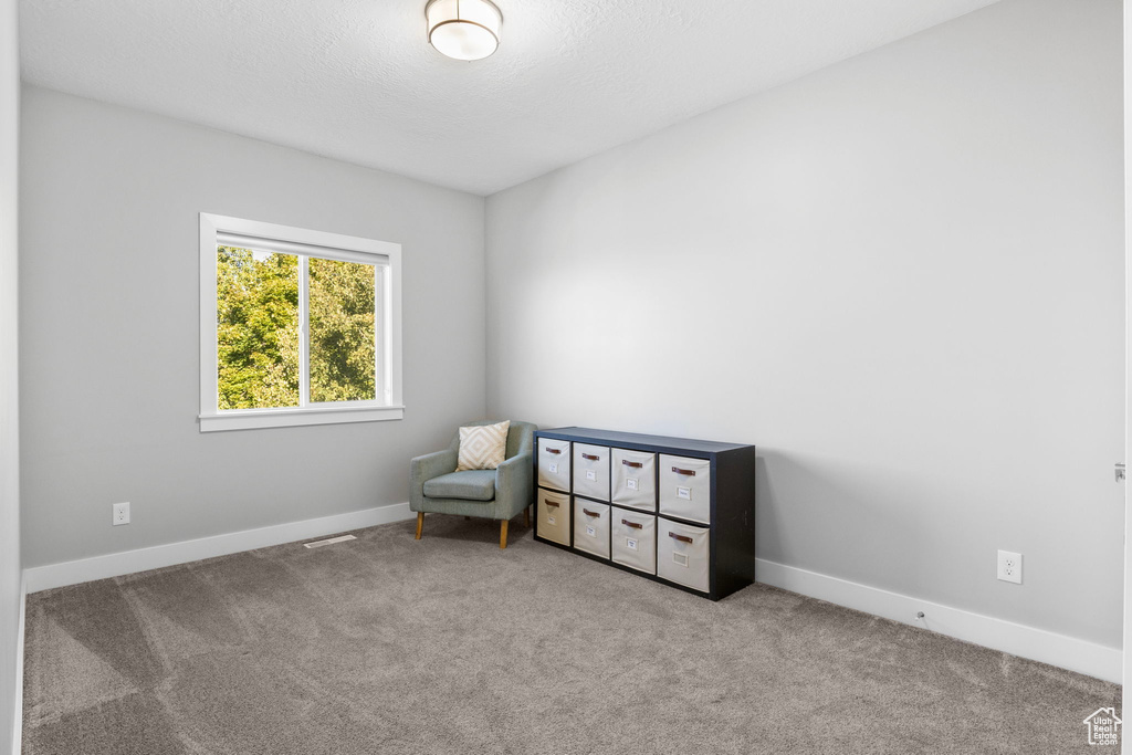 Sitting room featuring light colored carpet and a textured ceiling