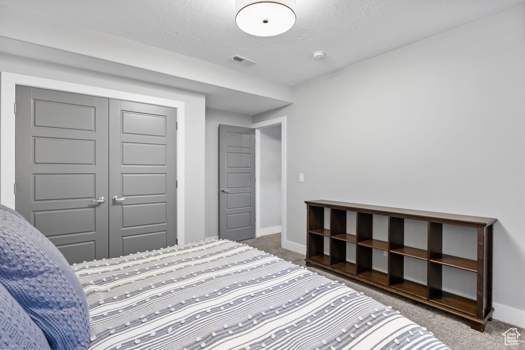 Bedroom featuring carpet floors, a textured ceiling, and a closet