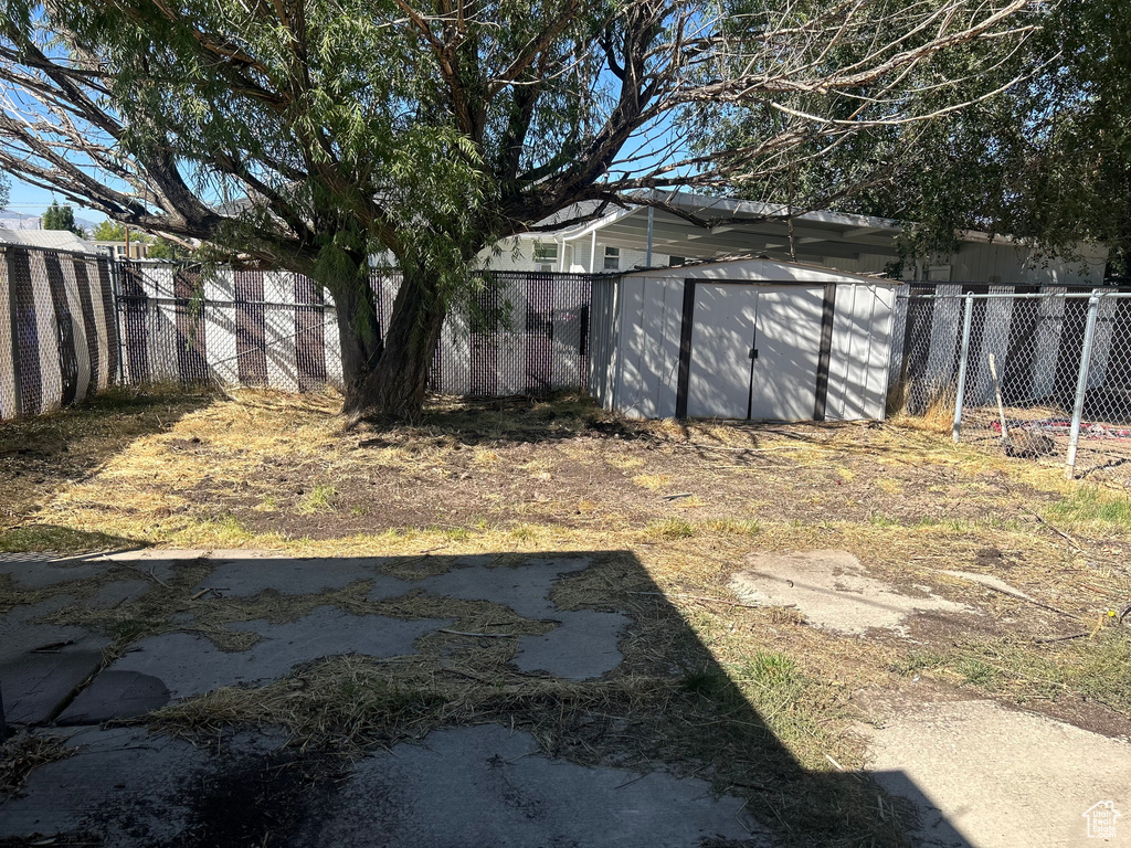 View of yard featuring a shed