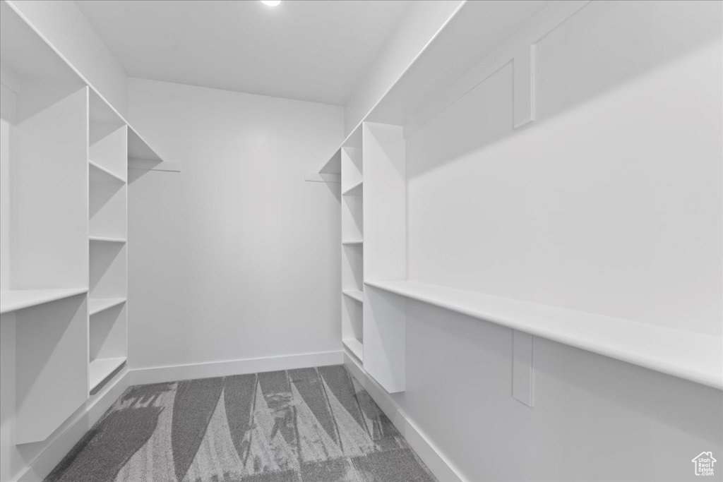 Spacious closet with dark colored carpet