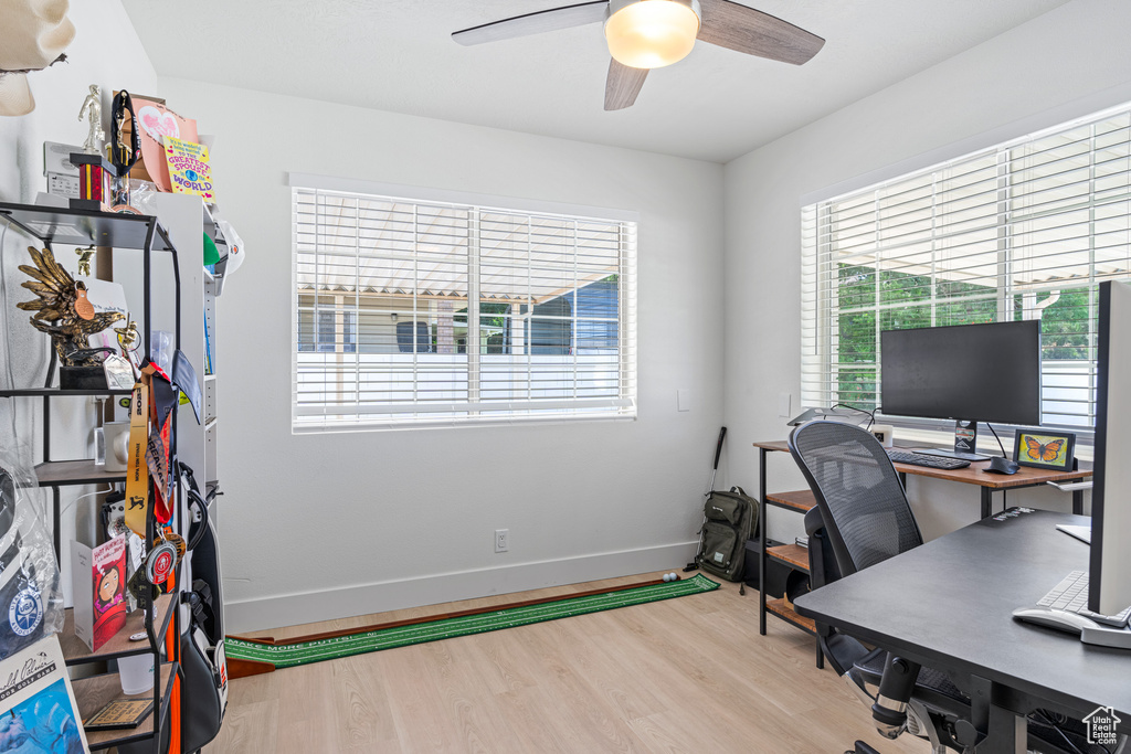 Home office featuring a healthy amount of sunlight, light hardwood / wood-style floors, and ceiling fan