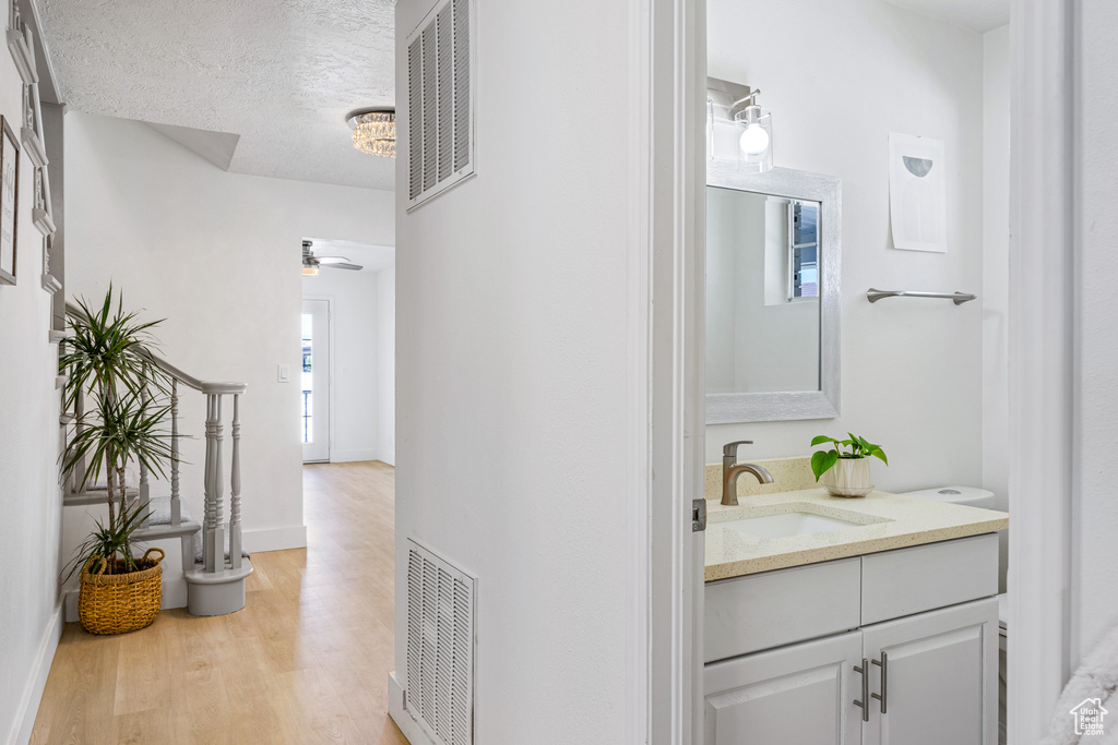 Bathroom featuring a textured ceiling, vanity, and hardwood / wood-style floors