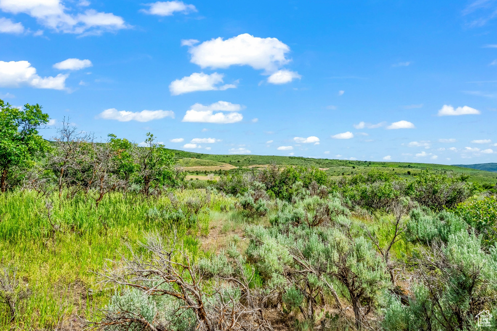 View of nature featuring a rural view