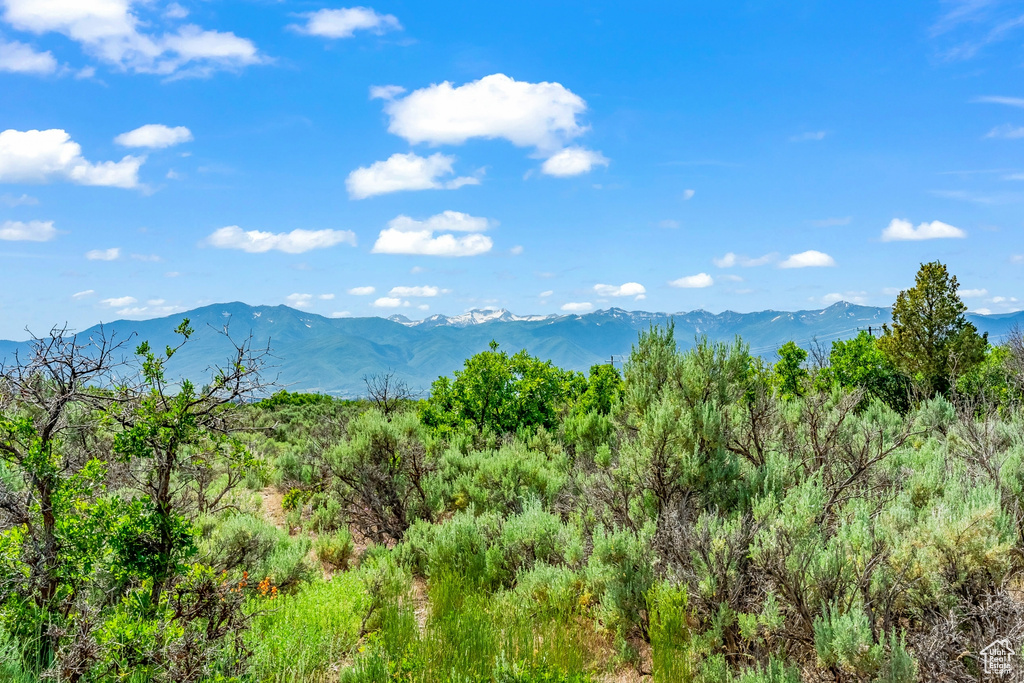 Property view of mountains