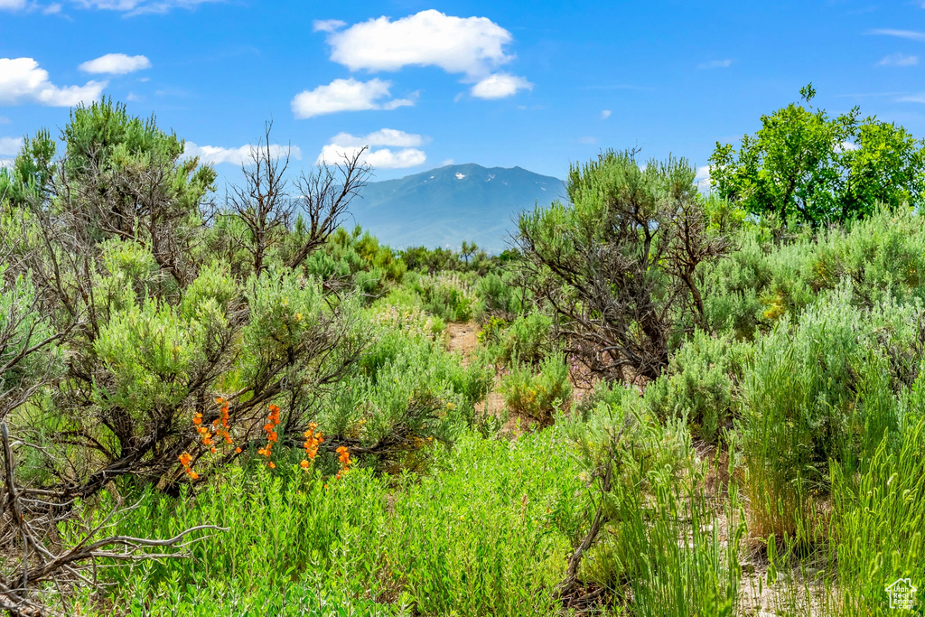 View of landscape featuring a mountain view