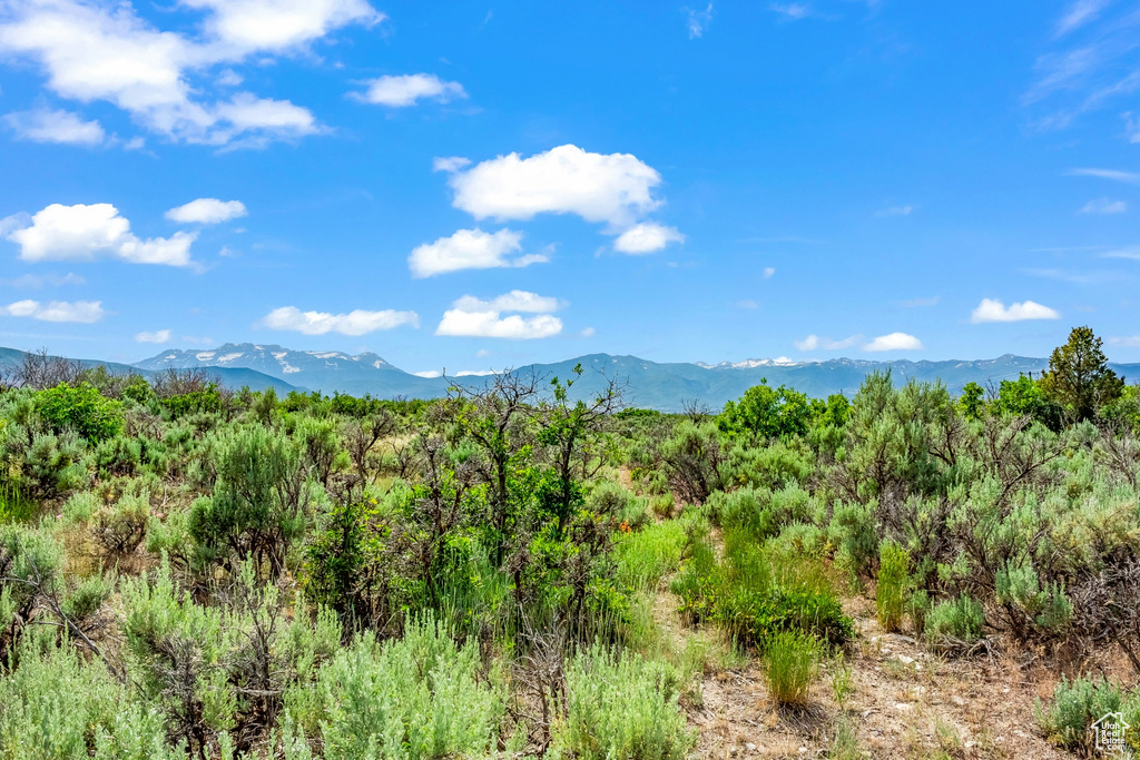 Property view of mountains