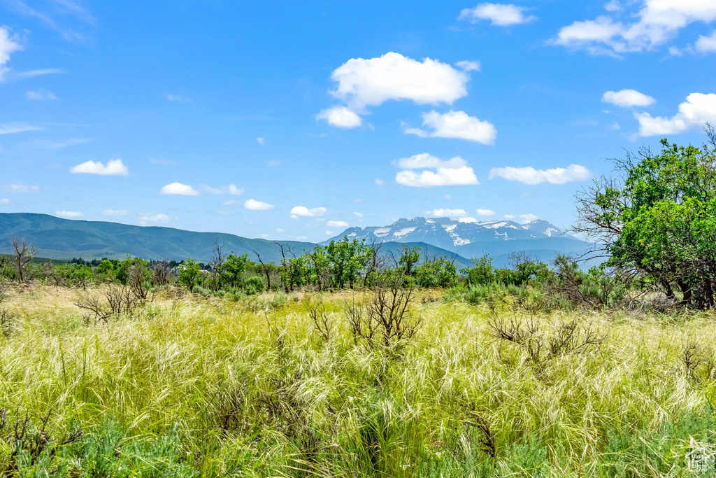 View of mountain feature