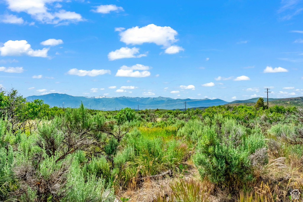 Property view of mountains