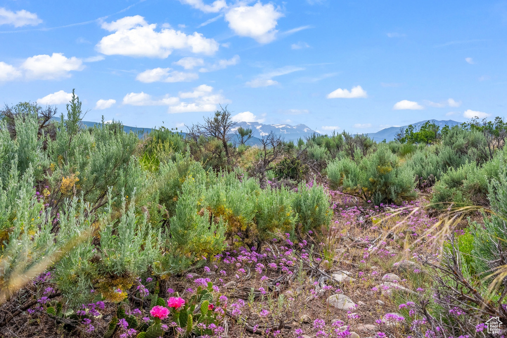 View of nature featuring a mountain view