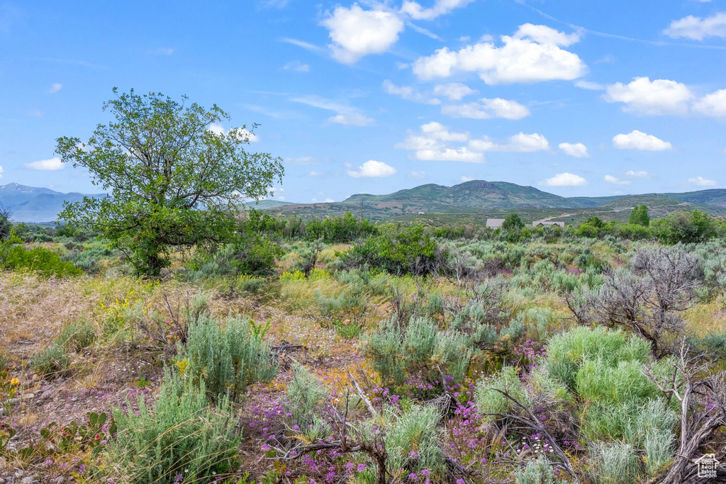 Property view of mountains