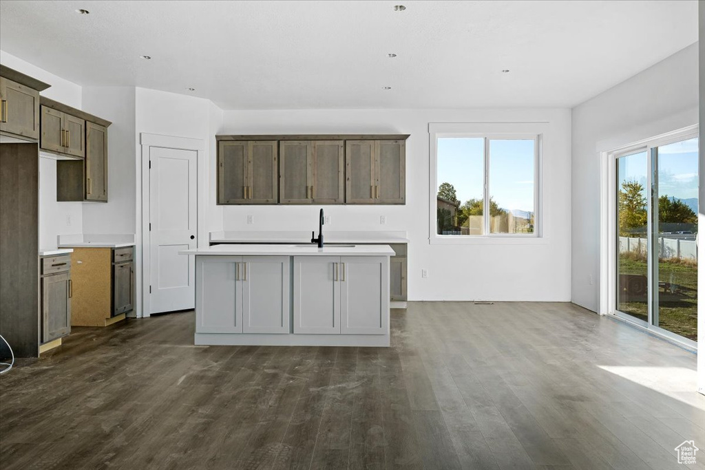 Kitchen with dark hardwood / wood-style floors, sink, and an island with sink