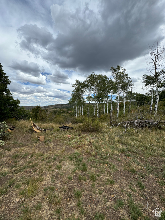View of yard featuring a rural view