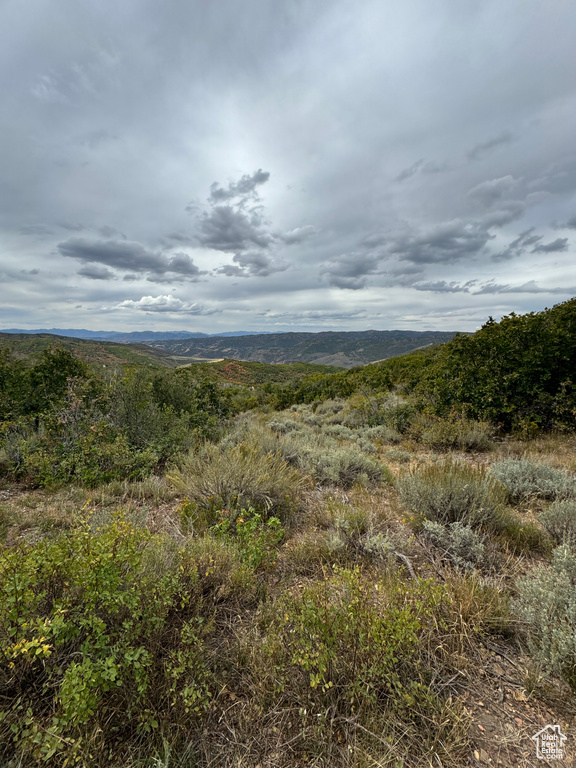 Mountain view