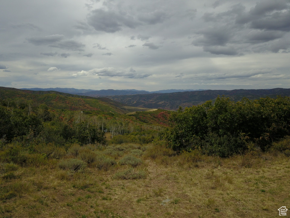 Property view of mountains