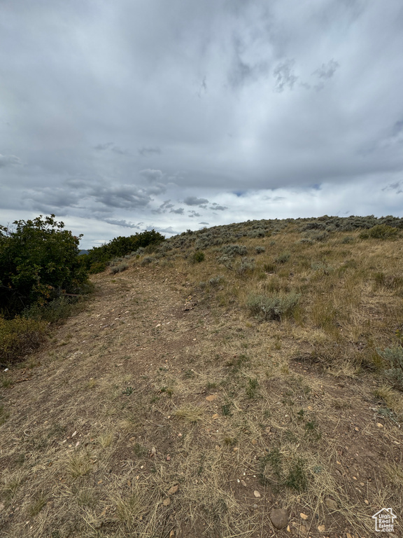 View of local wilderness