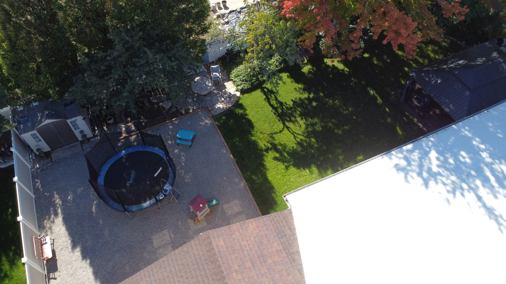 Bird\'s eye view