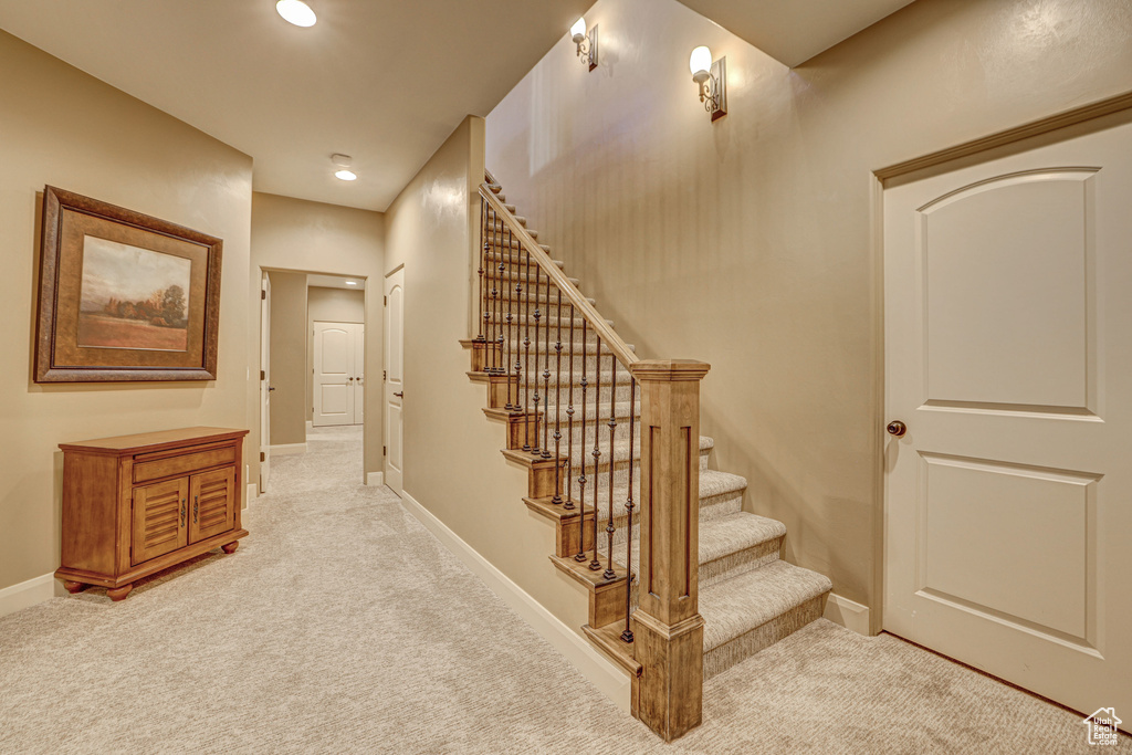 Staircase featuring carpet floors