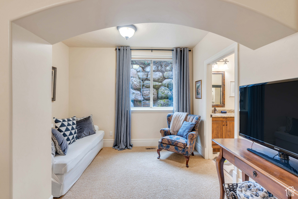 Living area with light colored carpet