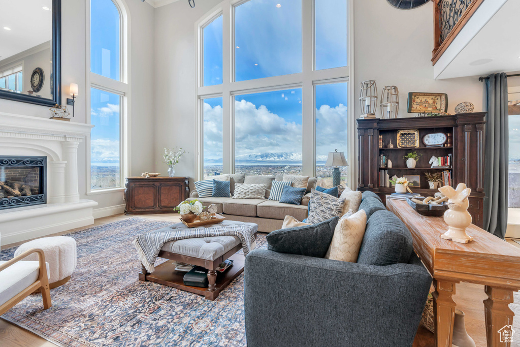 Living room with a high ceiling and hardwood / wood-style flooring