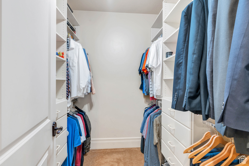 Spacious closet featuring light colored carpet