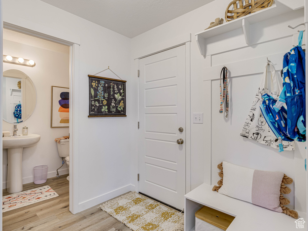 Foyer with hardwood / wood-style floors and sink