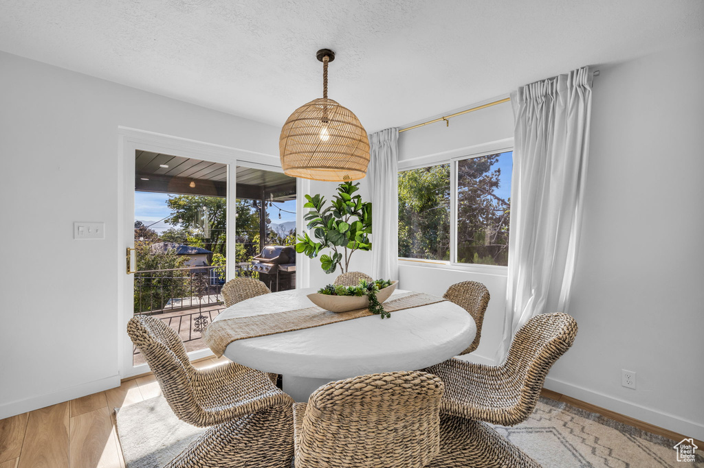 Dining room featuring a textured ceiling and light hardwood / wood-style floors