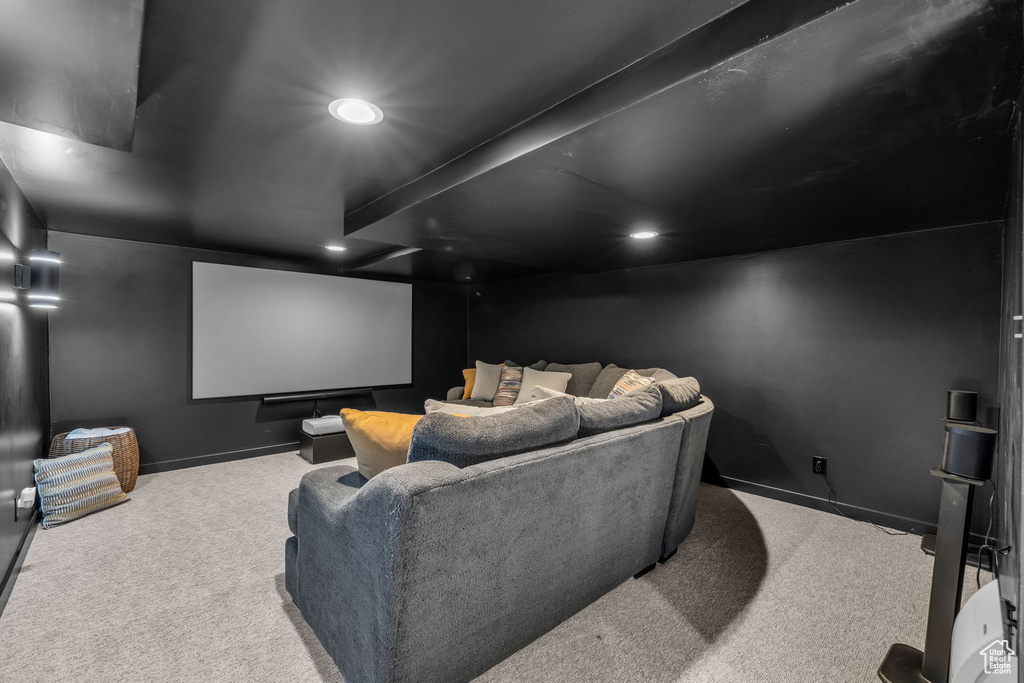 View of carpeted home theater room