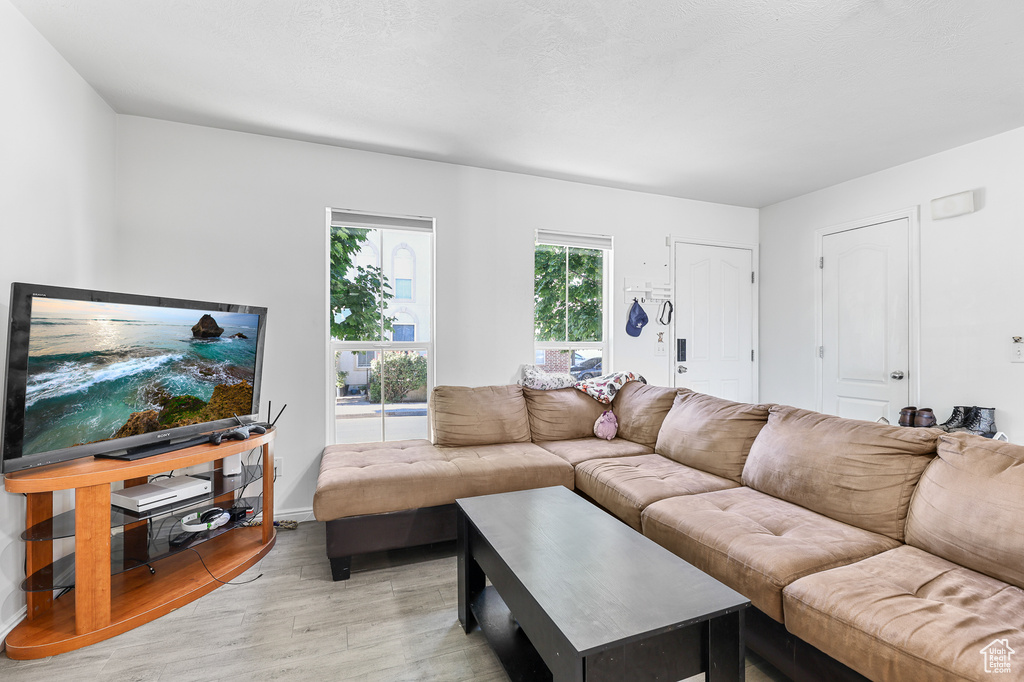 Living room featuring light hardwood / wood-style floors