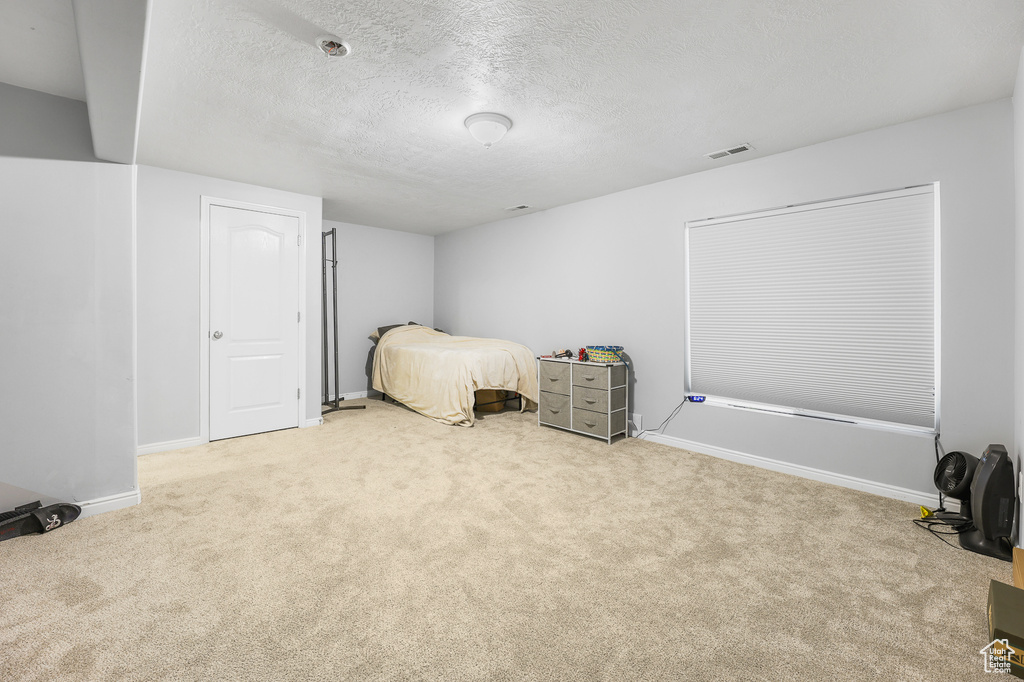 Carpeted bedroom with a textured ceiling