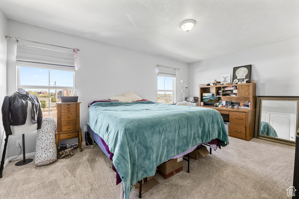 Bedroom featuring light carpet, multiple windows, and a textured ceiling