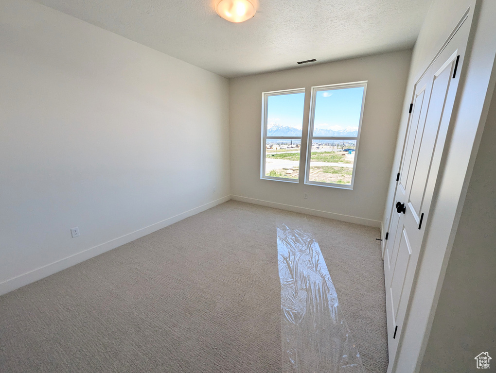 Unfurnished bedroom with light carpet and a textured ceiling