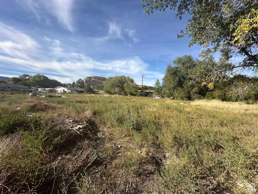 View of local wilderness with a rural view