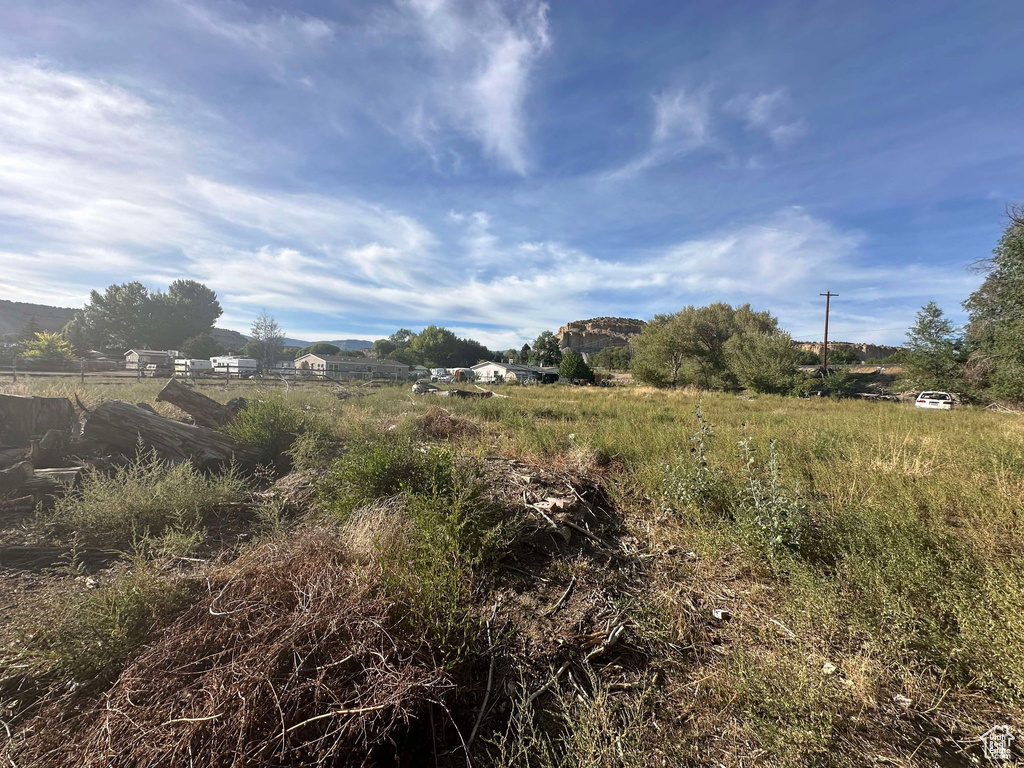 View of local wilderness with a rural view