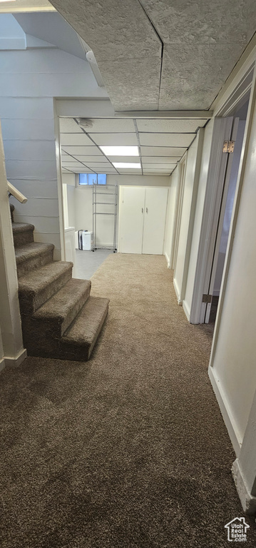 Basement featuring carpet flooring