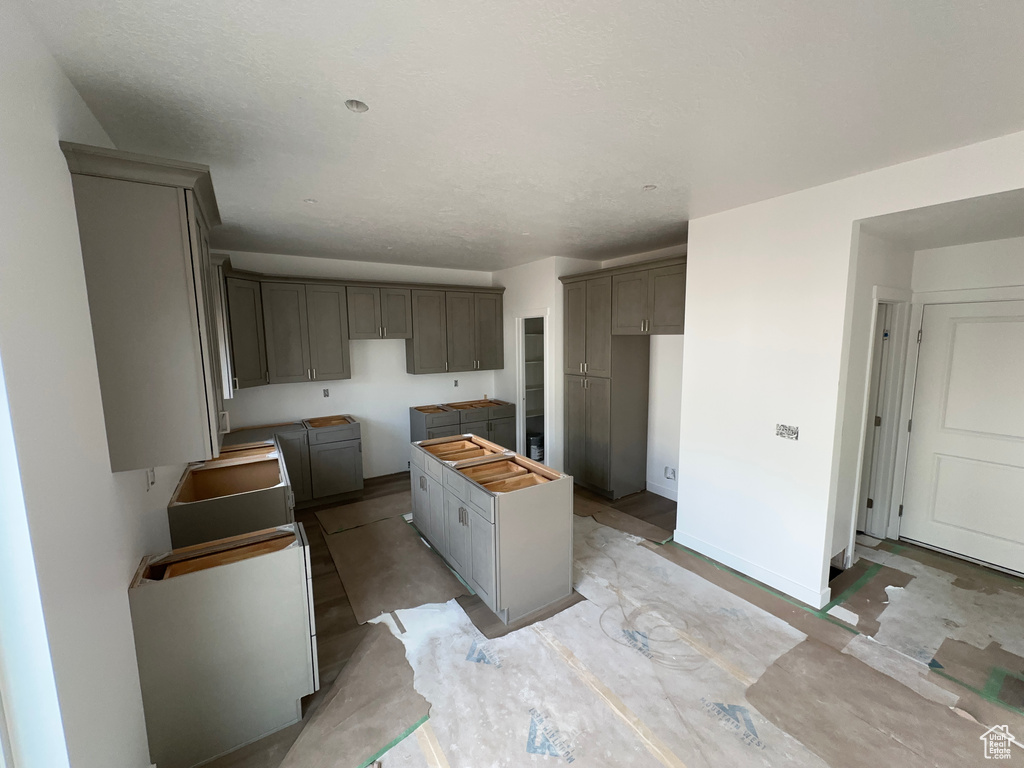 Kitchen with gray cabinets