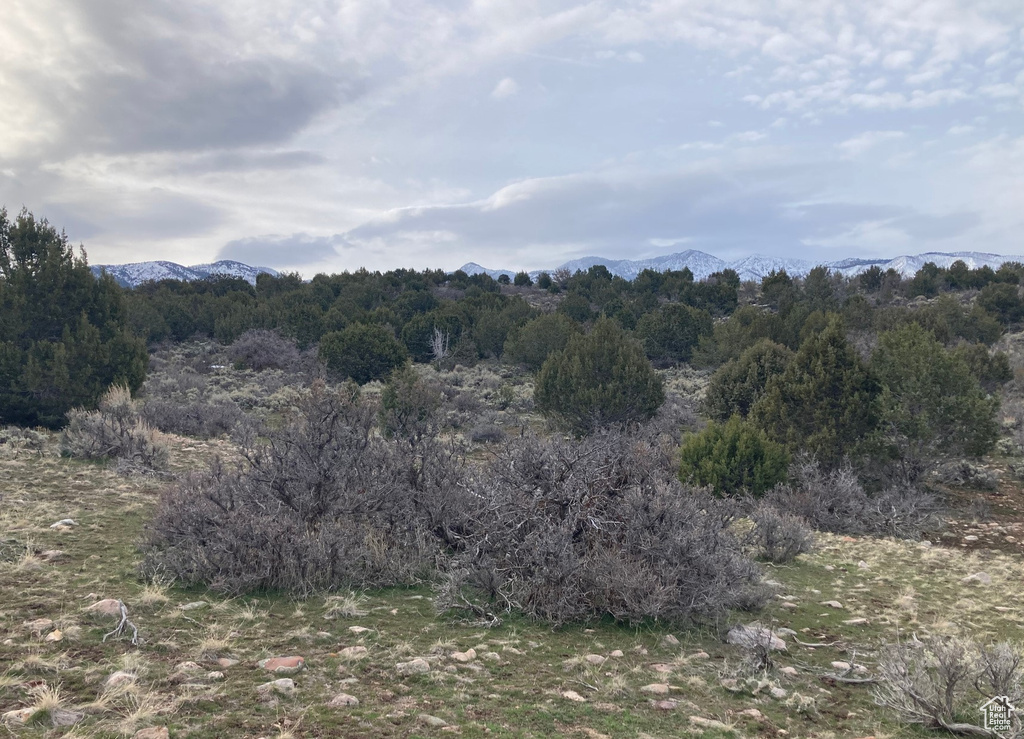 View of local wilderness featuring a mountain view