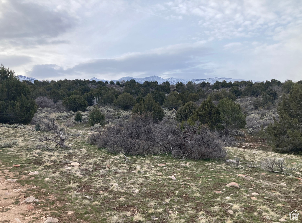 View of landscape featuring a mountain view