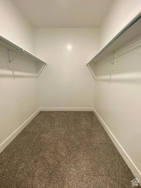 Spacious closet featuring carpet