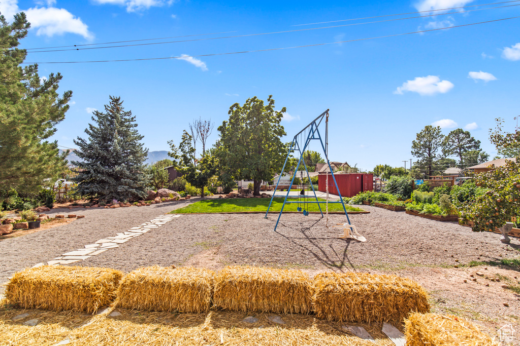 View of jungle gym