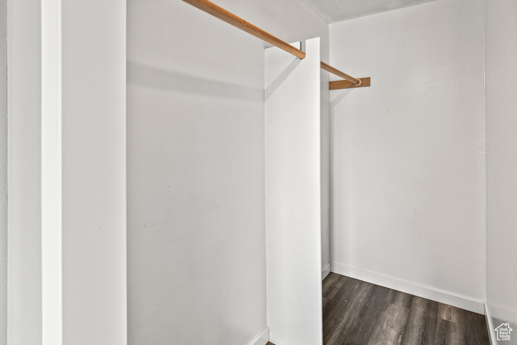 Spacious closet featuring dark hardwood / wood-style floors