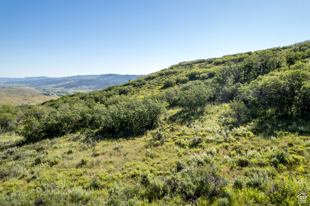 Mountain view with a forest view