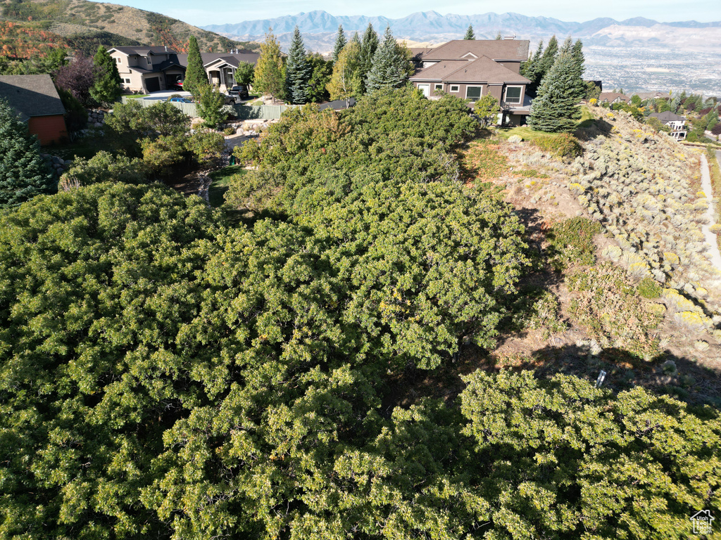 Birds eye view of property with a mountain view