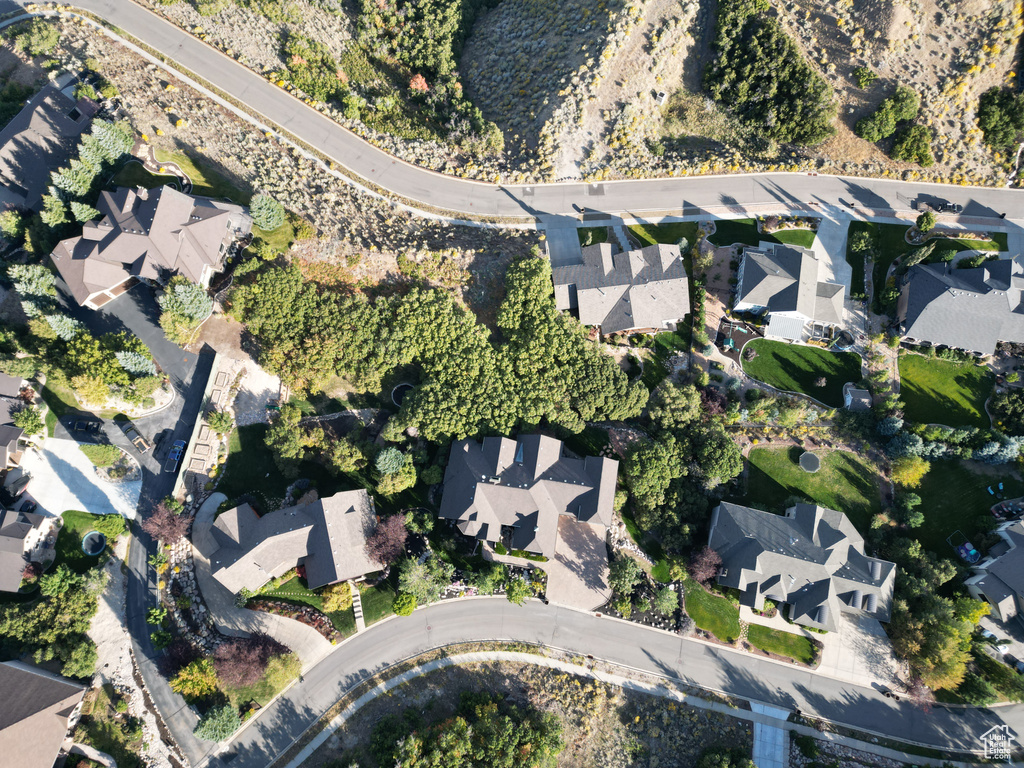 Bird\'s eye view