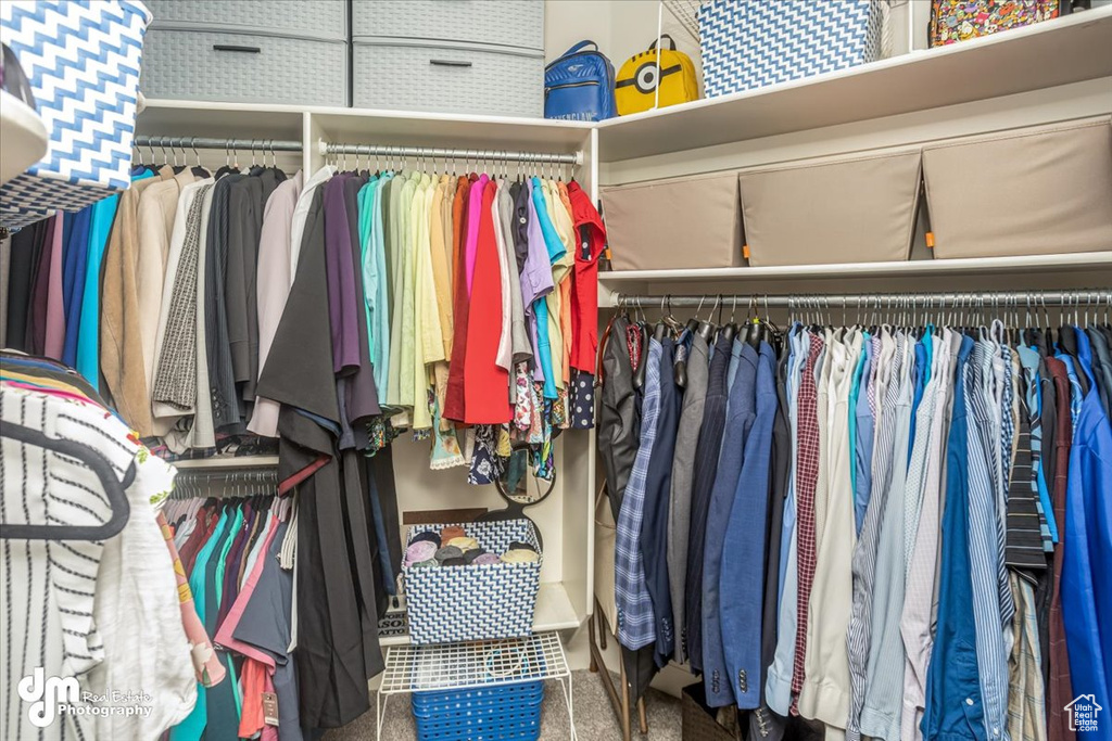 Spacious closet featuring carpet