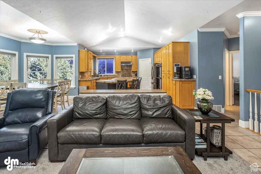 Tiled living room featuring sink and crown molding