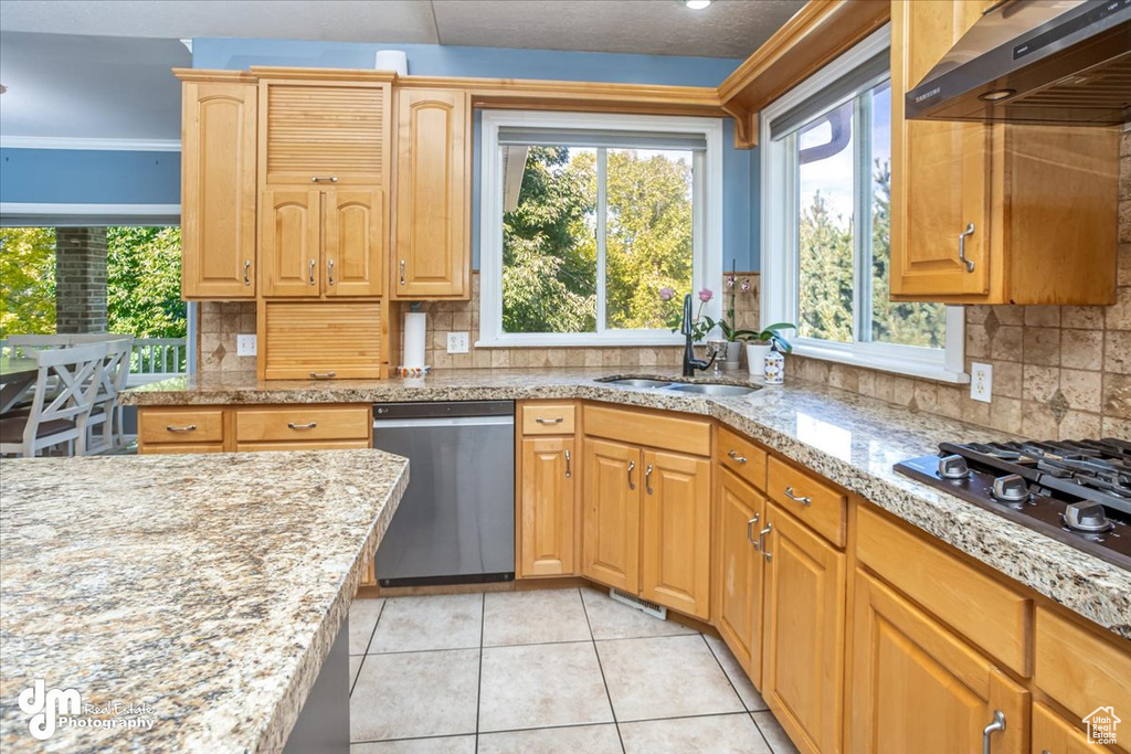 Kitchen with backsplash, dishwasher, sink, and exhaust hood