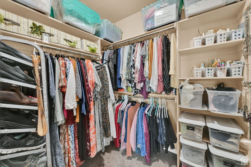 Spacious closet featuring carpet